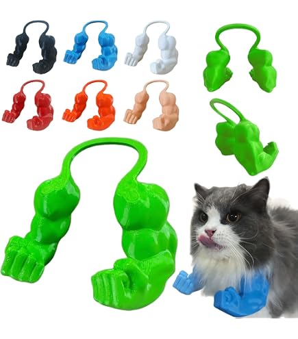 Amazon.co.jp: なめ猫 レトロ なめんなよ猫 下敷き ！ : ペット用品