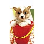 犬 iPhone8,7,6 Plus 壁紙 拡大(1125×2001) おそうじだいすき!  犬 iPhone8,7,6 Plus 壁紙 拡大(1125×2001) おそうじだいすき!