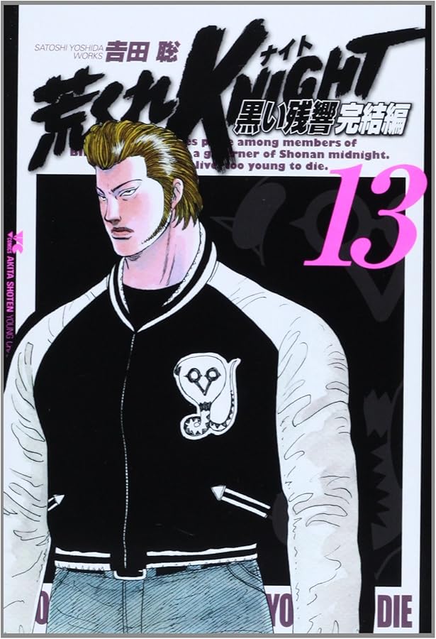 荒くれKNIGHT 黒い残響完結編(20): ヤングチャンピオン・コミックス