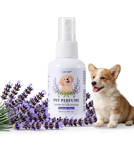 Amazon.co.jp: Oh my dog! オード・トワレ（100ml） : ペット用品