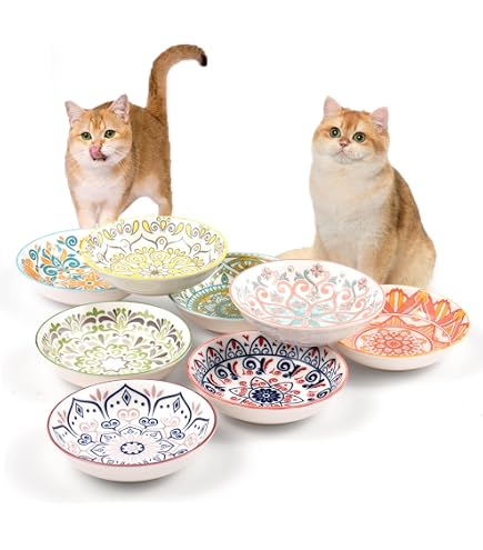 6 PCS Cat Bowls,Cat Food Bowl,Anti Whisker Fatigue Ceramic Cats Dishes for Indoor Cats,Shallow 6 PCS Cat Bowls,Cat Food Bowl,Anti Whisker Fatigue Ceramic Cats Dishes for Indoor Cats,Shallow