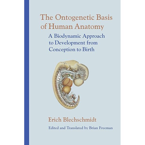 Amazon | Biokinetics and Biodynamics of Human