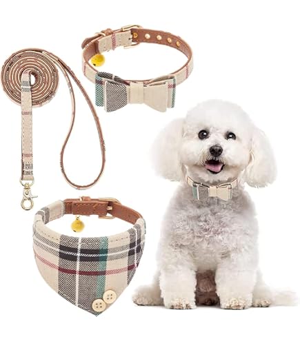 Amazon | 犬 首輪 リード かわいい チェック 首輪リードセット 犬用