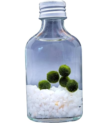 Amazon.co.jp: （水草）マリモ Sサイズ（無農薬）（2個） : ペット用品