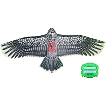 Amazon.co.jp: Rcuihak 2個リアル鳥追いカイト鷹 バードカイト