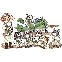 戦闘機 戦車 など プラモデル 模型 まとめ売り 51B0ICPRbaL._UF894,1000_QL80_.jpg