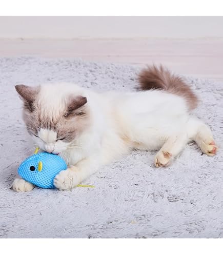 Amazon.co.jp: コウペンちゃんねこじゃらしを持っておでかけマスコット