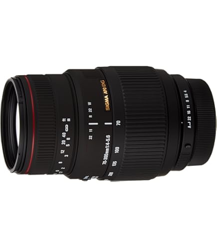 Amazon | シグマ 100-300mm F4 APO EX DG HSM ペンタックス用