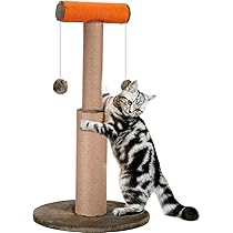 Amazon | SCHITEC 猫 爪研ぎ ポール 極太 爪とぎ 高さ75cm 天然