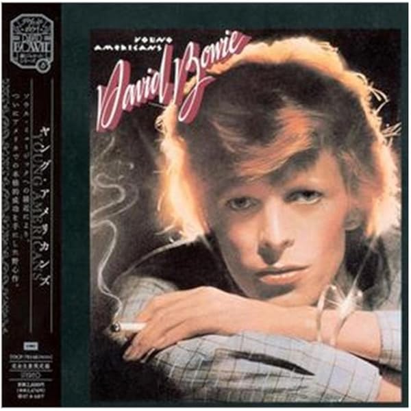超レア デヴィッドボウイ DAVID LIVE 限定盤 シリアルナンバー LP 超レア デヴィッドボウイ DAVID LIVE 限定盤 シリアルナンバー