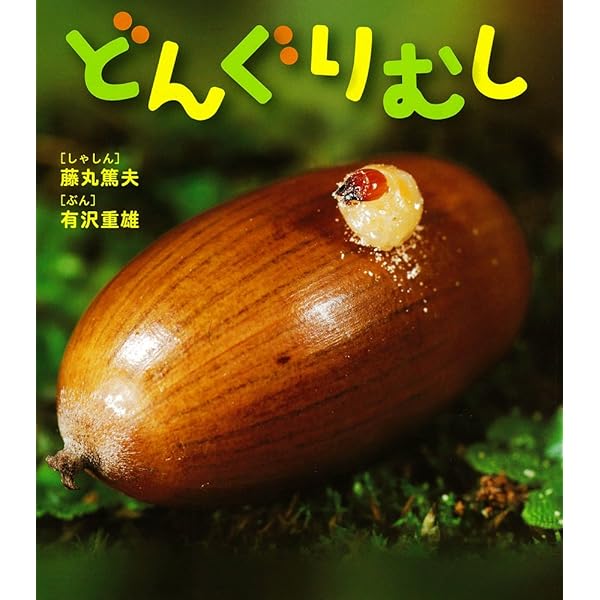 どんぐりむし (しぜんといっしょ 4) | 有沢 重雄, 藤丸 篤夫 |本
