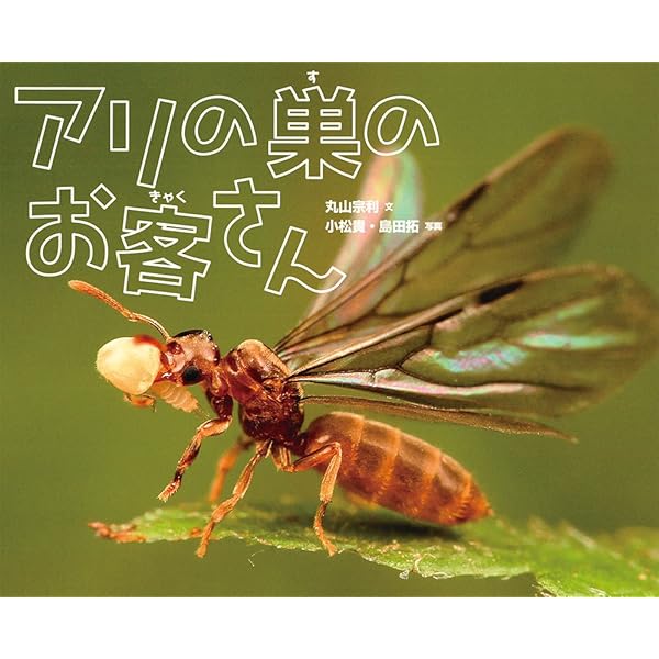 Amazon.co.jp: アリの巣の生きもの図鑑 : 丸山 宗利: 本