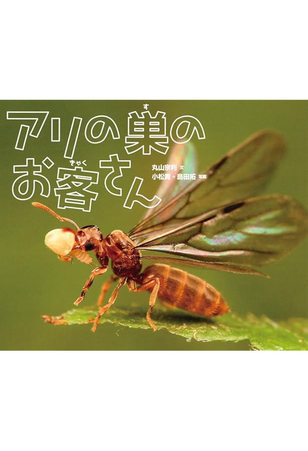 Amazon.co.jp: アリの巣の生きもの図鑑 : 丸山 宗利: 本