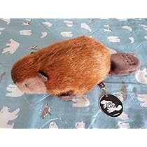 Amazon.co.jp: SUPERBEAVER ぬい 吉徳 スーパービーバーちゃん 受注 