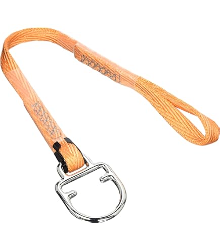 Amazon.co.jp: タイタン(TITAN) 新規格 墜落制止用器具 ランヤード