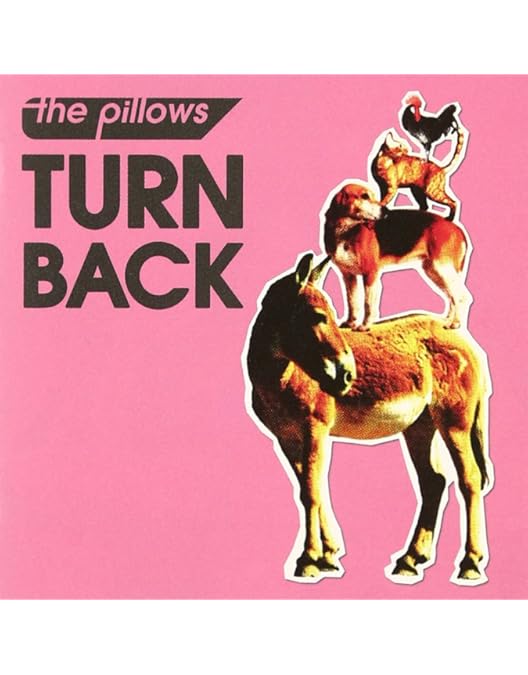 Amazon.co.jp: 916“15th Anniversary Special Live DVD” : the pillows