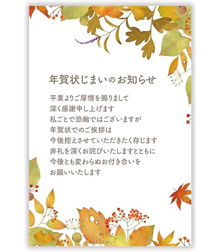Amazon | パピレイ 年賀状じまい ハガキ 年内お知らせ 10枚入り 私製