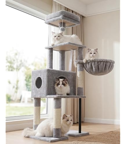 Amazon | Seiraku キャットタワー キャットタワー 大型猫用 キャット