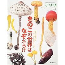 71nWvBjxLAL._AC_UL210_SR210,