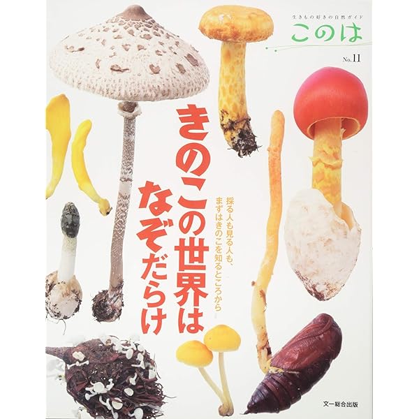 キノコの世界 新装版 (科学のアルバム植物 9) | 伊沢 正名 |本 | 通販