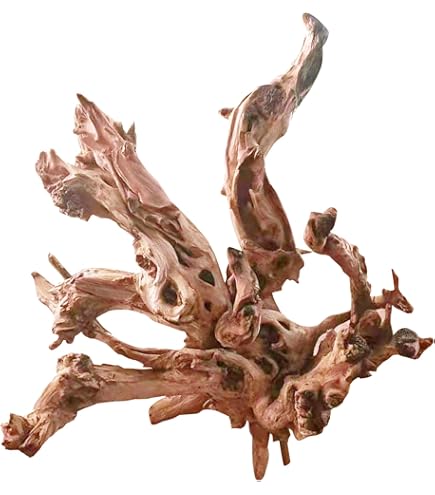 Amazon | WDEFUN 天然大型流木 水槽の装飾用 長さ13~16インチ 様々な枝