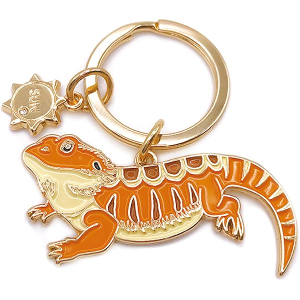 Amazon.co.jp: DOWAY エナメル キュート トカゲ ヤモリ キーチェーン