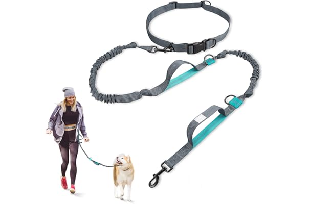 best dog leash amazon