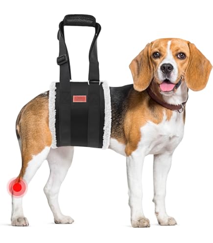 Amazon.co.jp: ウォーキン・半身不随ペット用ドラッグバッグ、Mサイズ