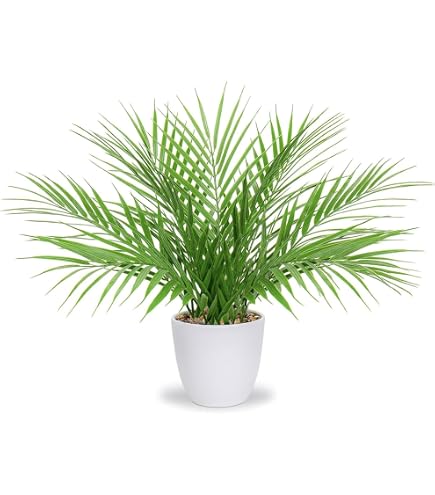 Amazon｜IKEA/イケア FEJKA/フェイカ：人工観葉植物68 cm アレカヤシ 