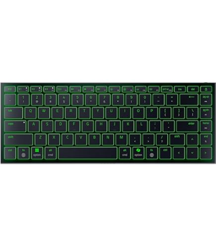 Razer BlackWidow X Tournament Edition Chroma テンキーレスゲーミングキーボード 英語配列版  RZ03-01770100-R3M1 2zzhgl6 Amazon.co.jp: Razer BlackWidow X Tournament Edition Chroma