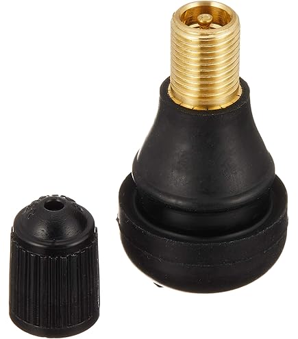 日焼け　黒オーラセット Amazon | DUNLOP(ダンロップ)チューブレスバルブ スナップイン