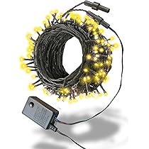 71niD7NZm8L._AC_UL210_SR210,