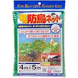 ダイオ化成 軽々防鳥ネット10mm目 緑 4×5m