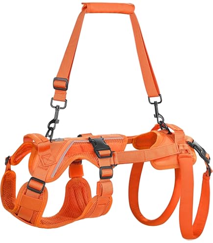 Amazon | With(ウィズ) 歩行補助ハーネス LaLaWalk 中型犬・コーギー用