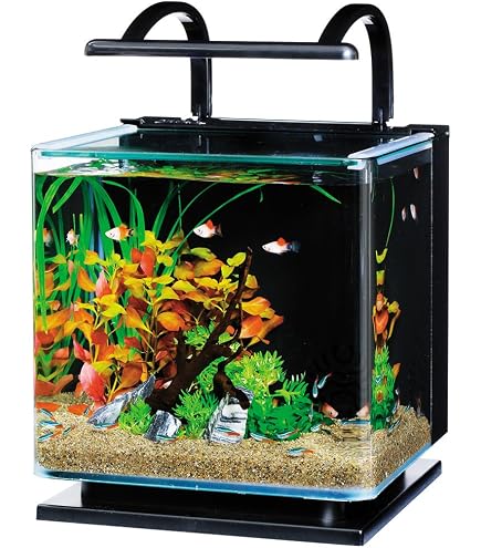 Amazon | 30cmキューブ水槽セット アクアリウム用品シンプル3点 