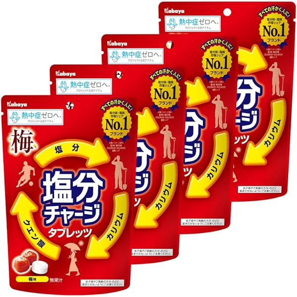 カバヤ えんぎ堂本舗2 シークレット（宝船）含む全21種 コンプセット 714YZzjYm1L._AC_UF350,