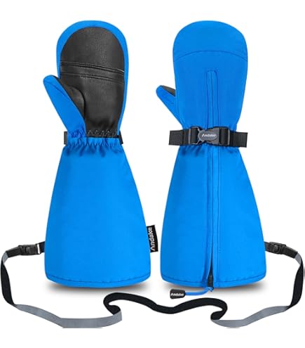 Amazon | ロイシュ（ロイシュ） MAXI R-TEX XT MITTEN ミトングローブ