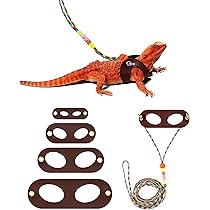 Amazon.co.jp: lilizzhoumaxフトアゴヒゲトカゲ ぬいぐるみ