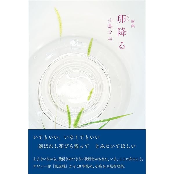 Amazon.co.jp: 展開図: 歌集 (コスモス叢書) : 小島なお: 本