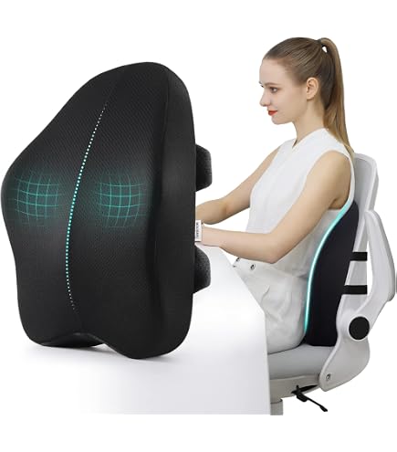SANHSEHOME Lumbar Support Pillow For Office & Car Chairs - Breathable Mesh, Adjustable Straps (2 Pack)
