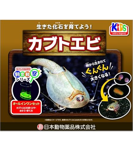 Amazon | 海の動物園! シーモンキーズ ブルーセット | 生物・動物