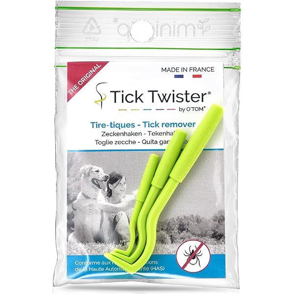 疣贅(いぼ)のみかた,治療のしかた | 江川清文, 江川清文 |本