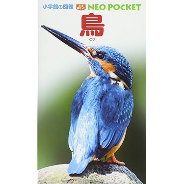 即購入⭕鳥類 図鑑 本 絵本 10冊セット 91S3931-oWL.jpg