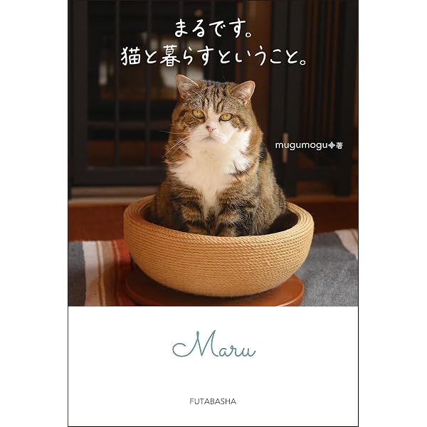 Amazon.co.jp: 私信 まるです。 電子書籍: mugumogu: Kindleストア