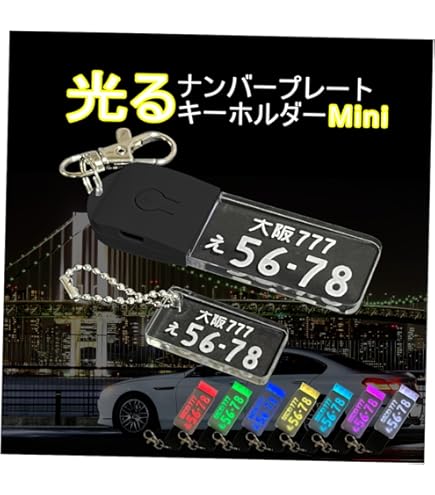 Amazon | [EXLEAD] ナンバープレート キーホルダー （事業用・緑