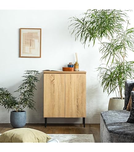 Amazon｜ロータイプキャビネット 幅60 奥行40 （LUC-6040） (ダーク