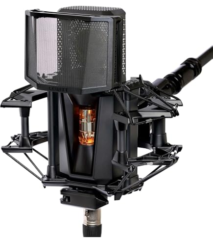 Amazon.co.jp: LEWITT LCT 940 コンデンサーマイク XLR レコーディング