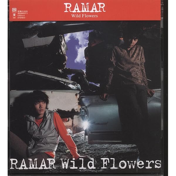 Amazon.co.jp: Wild Flowers: ミュージック