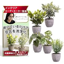 Amazon｜【インテリアコーディネーター監修】飾るだけじゃない