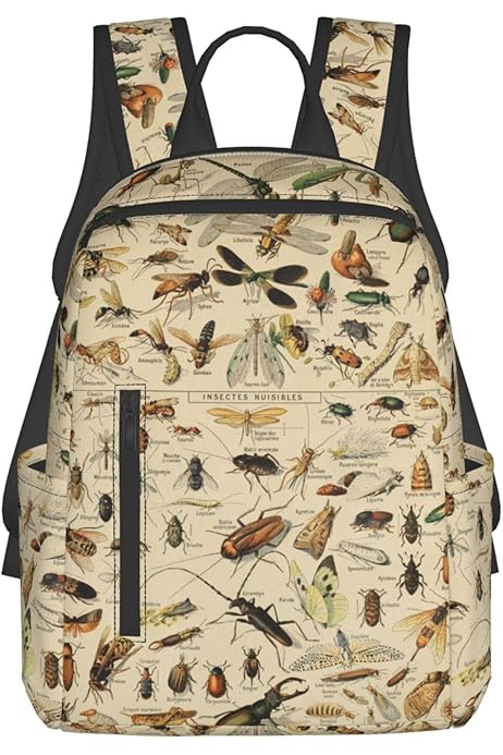 Amazon.co.jp: [Sharing Life] コーカサス オオカフ?ト（昆虫シリーズ  